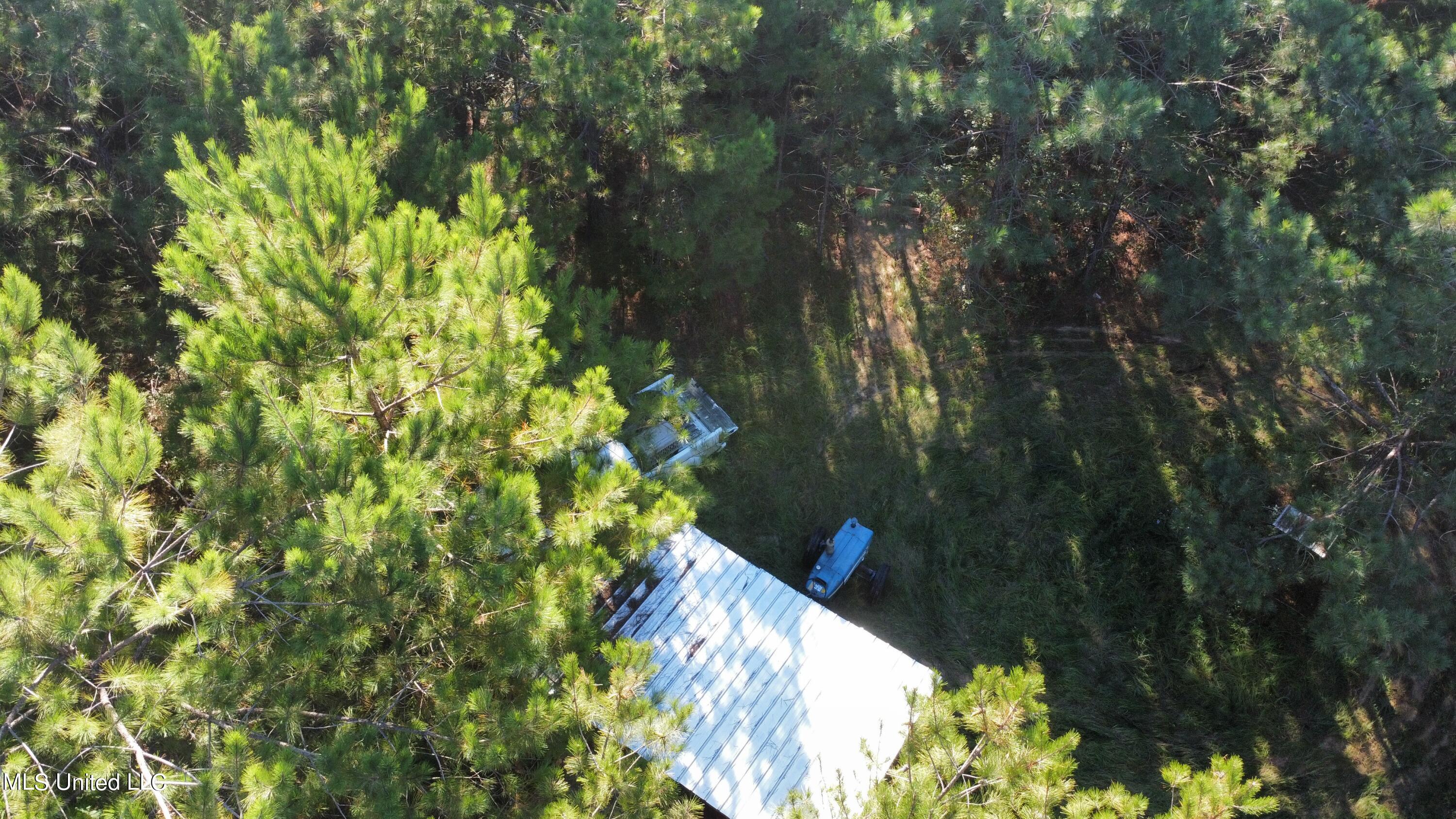 0 Clayton Road Carthage, MS 39051 - Photo 4 of 45 dji_fly_20220930_092924_230_166454817239