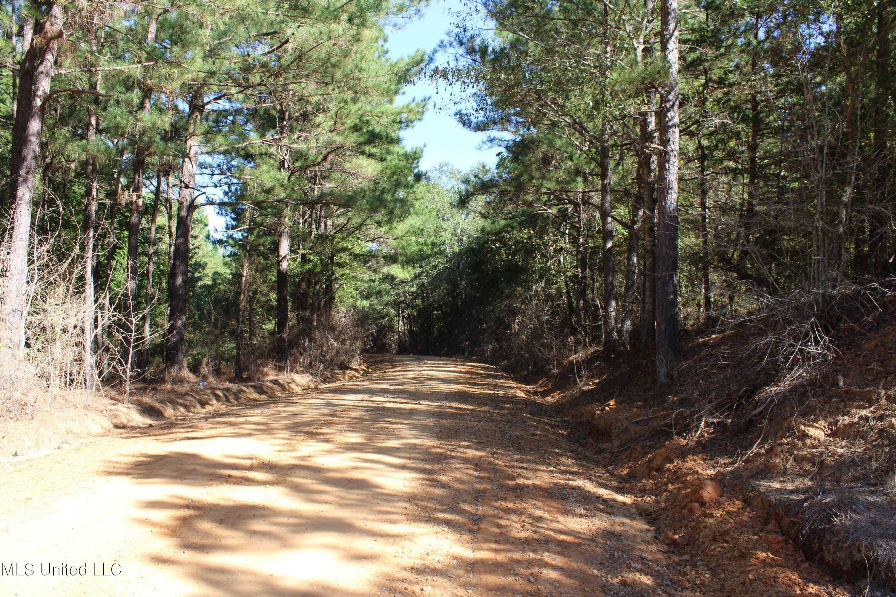 0 Clayton Road Carthage, MS 39051 - Photo 45 of 45 IMG_2897