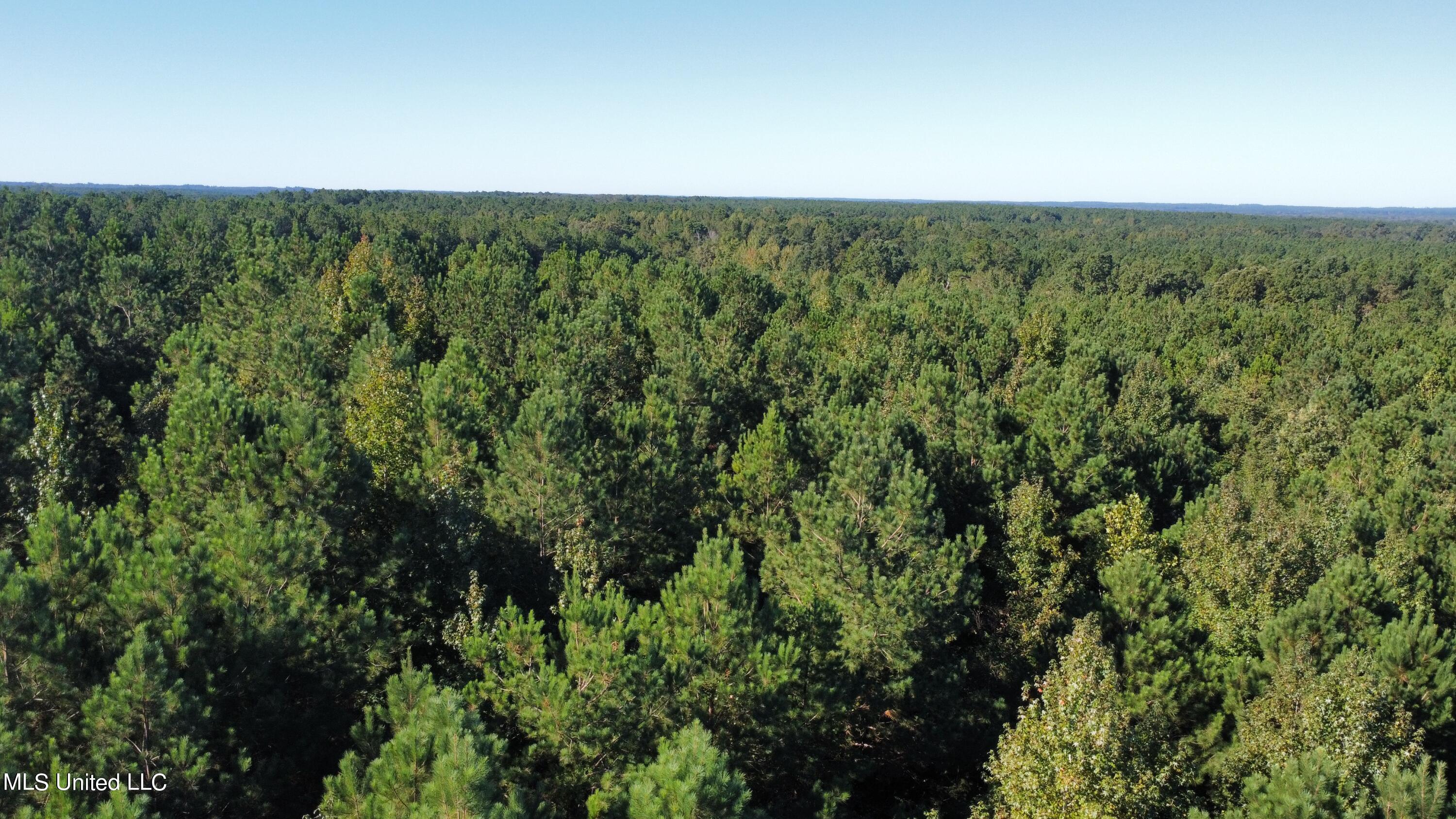 0 Clayton Road Carthage, MS 39051 - Photo 7 of 45 dji_fly_20220930_093032_233_166454824884