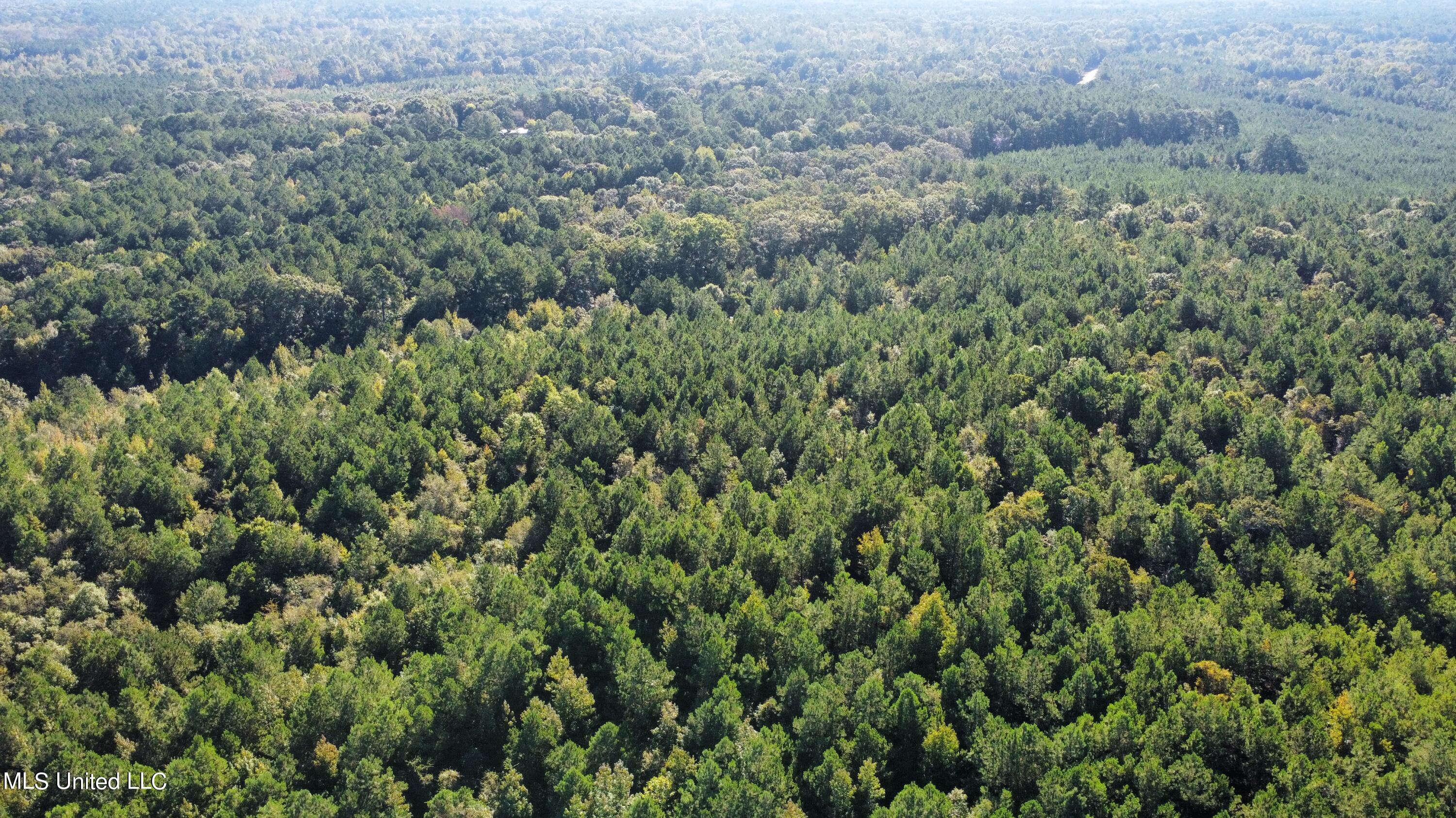 0 Clayton Road Carthage, MS 39051 - Photo 8 of 45 dji_fly_20220930_093142_234_166454831133