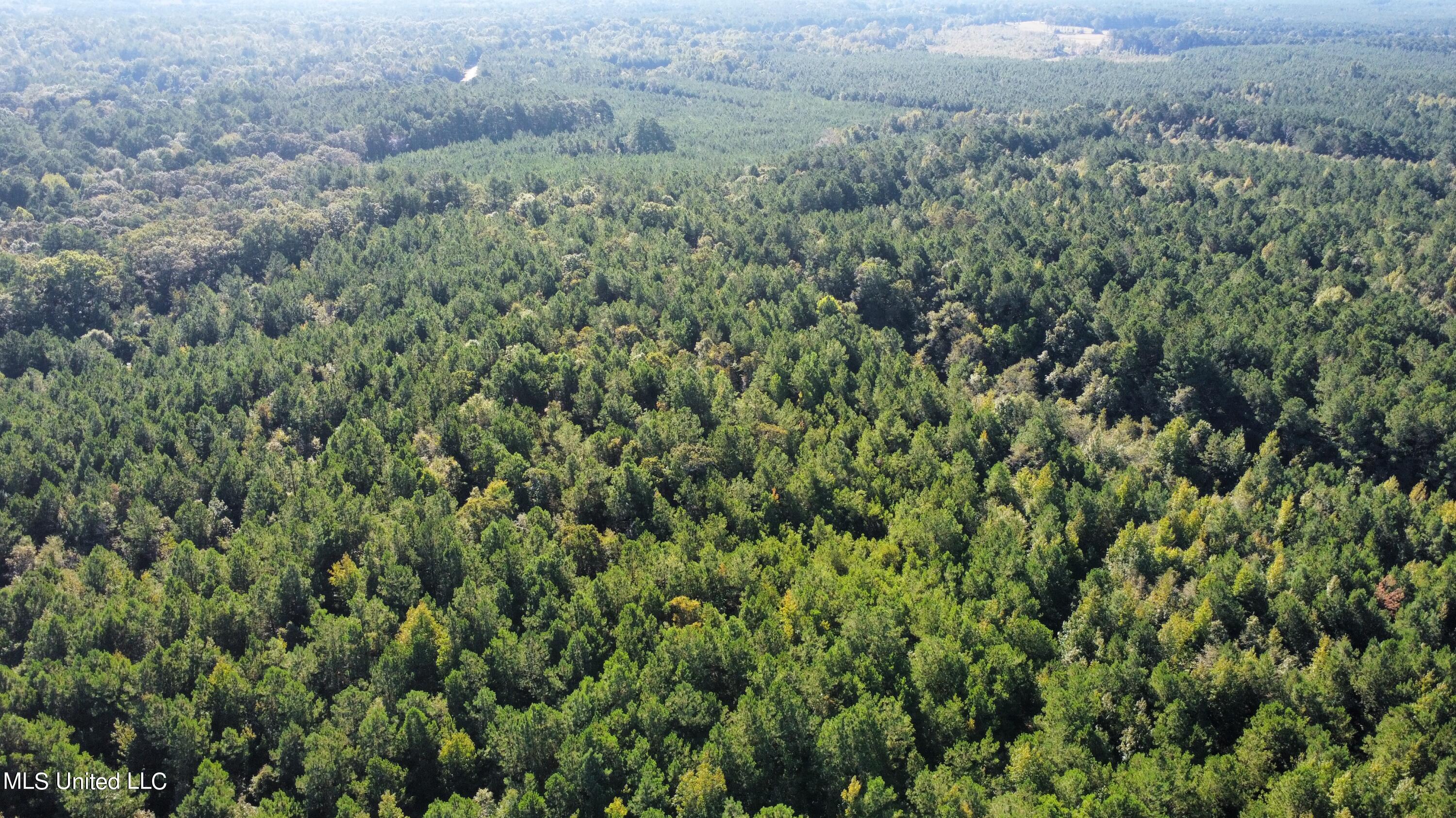 0 Clayton Road Carthage, MS 39051 - Photo 9 of 45 dji_fly_20220930_093144_235_166454831617