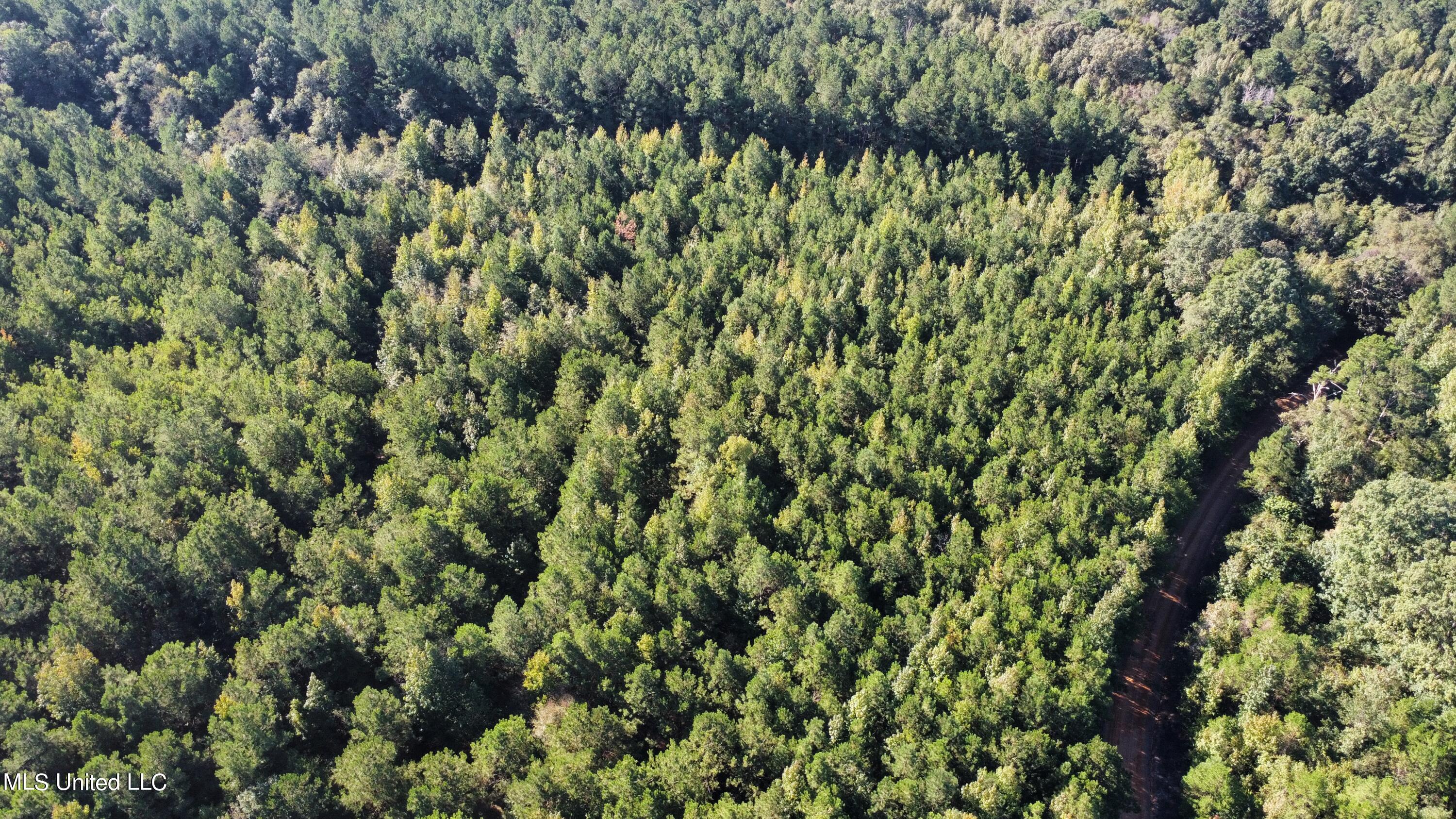 0 Clayton Road Carthage, MS 39051 - Photo 10 of 45 dji_fly_20220930_093150_236_166454831909