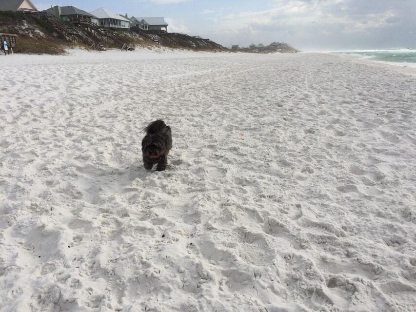 Lot 15 Ash Street Santa Rosa Beach, FL 32459 - Photo 15 of 16 Gallery Image 15
