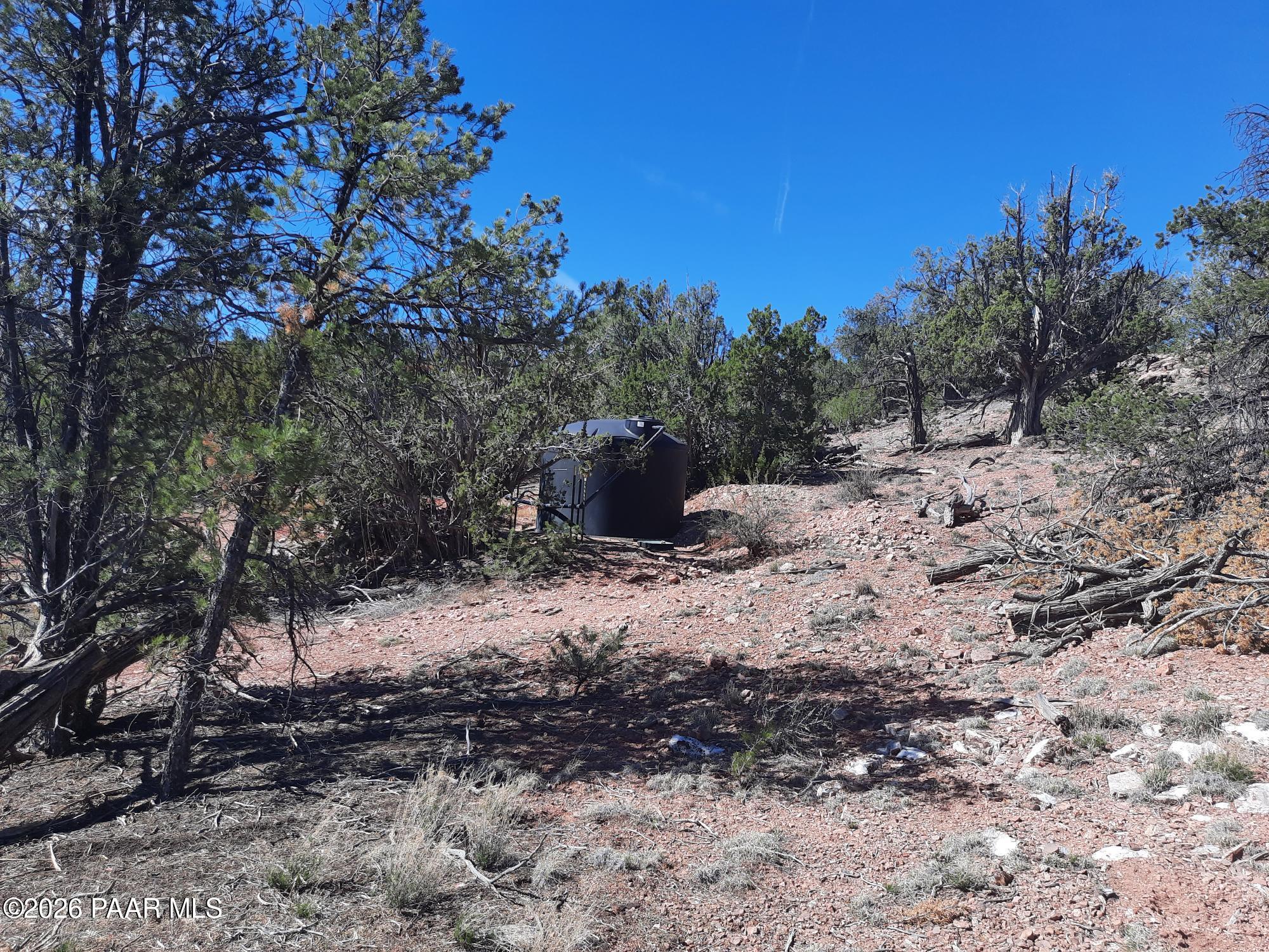 261 East W Titan Ranch Road Seligman, AZ 86337 - Photo 12 of 24 a view of a dry yard with trees