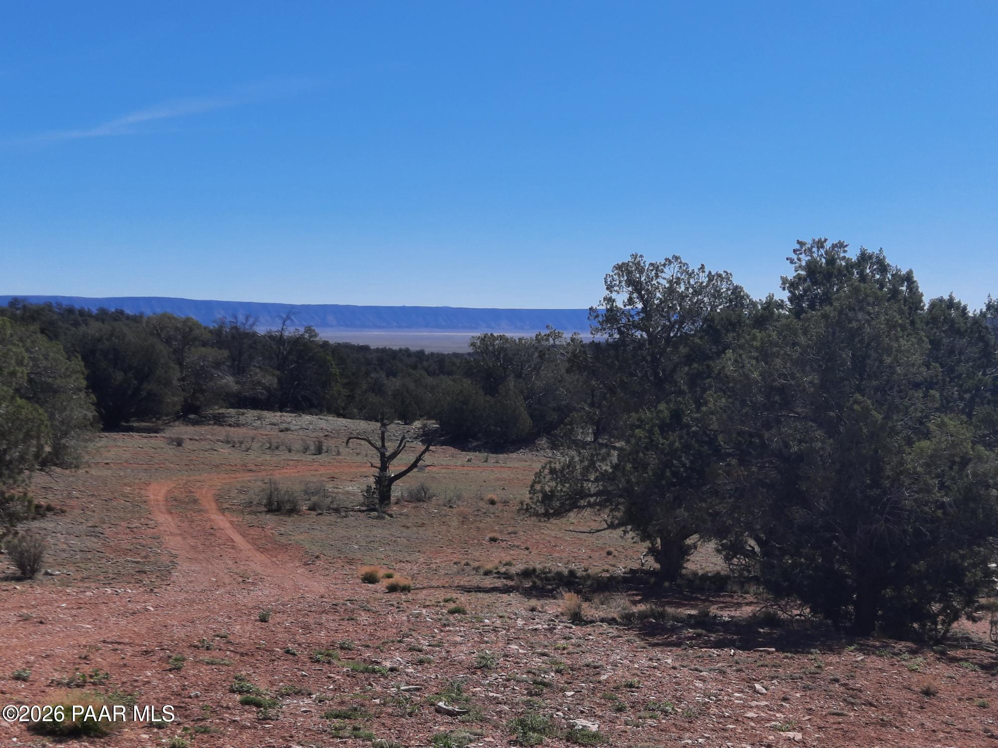 261 East W Titan Ranch Road Seligman, AZ 86337 - Photo 15 of 24 a view of a yard with wooden fence