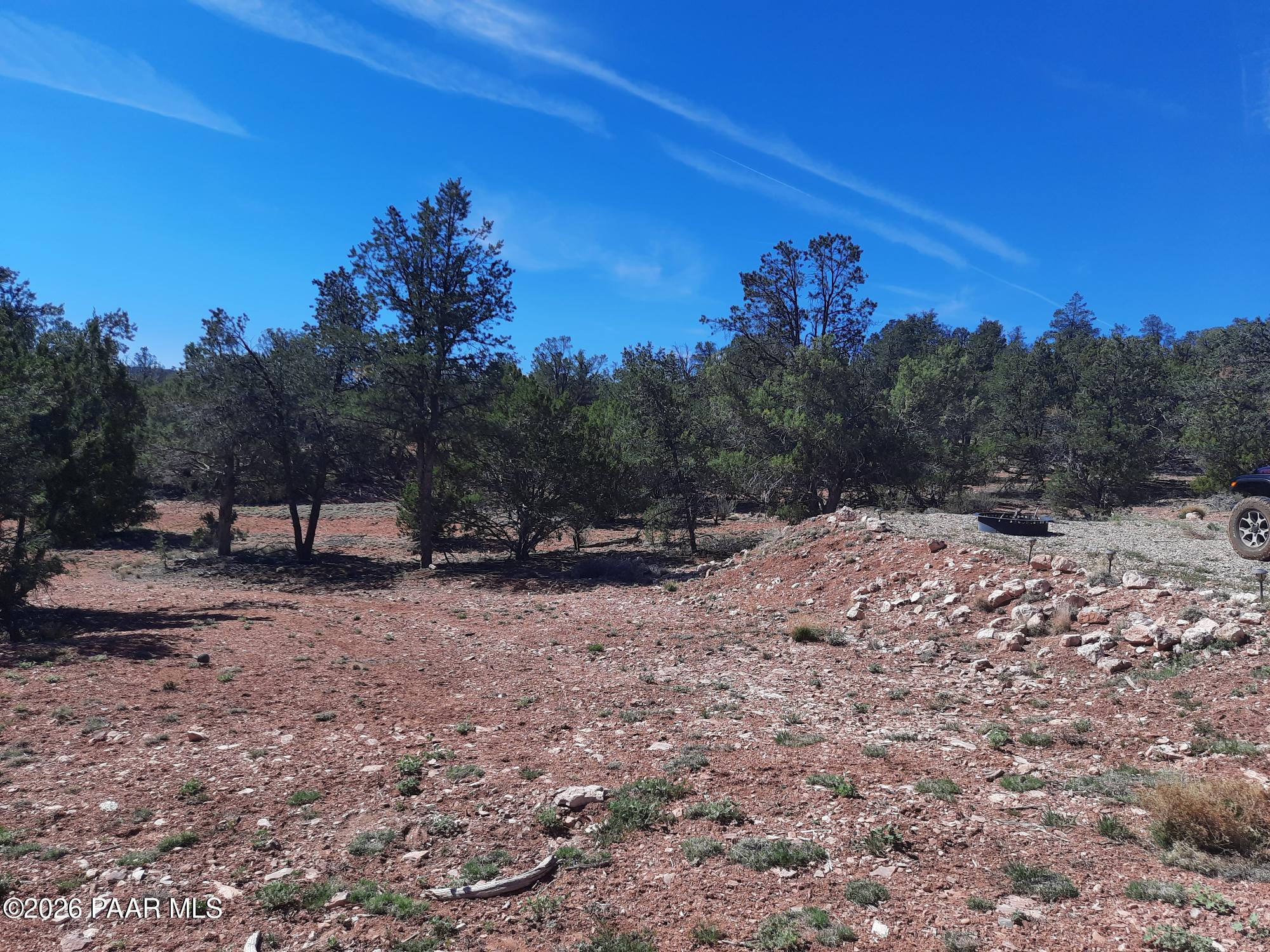 261 East W Titan Ranch Road Seligman, AZ 86337 - Photo 17 of 24 a view of a yard with a tree