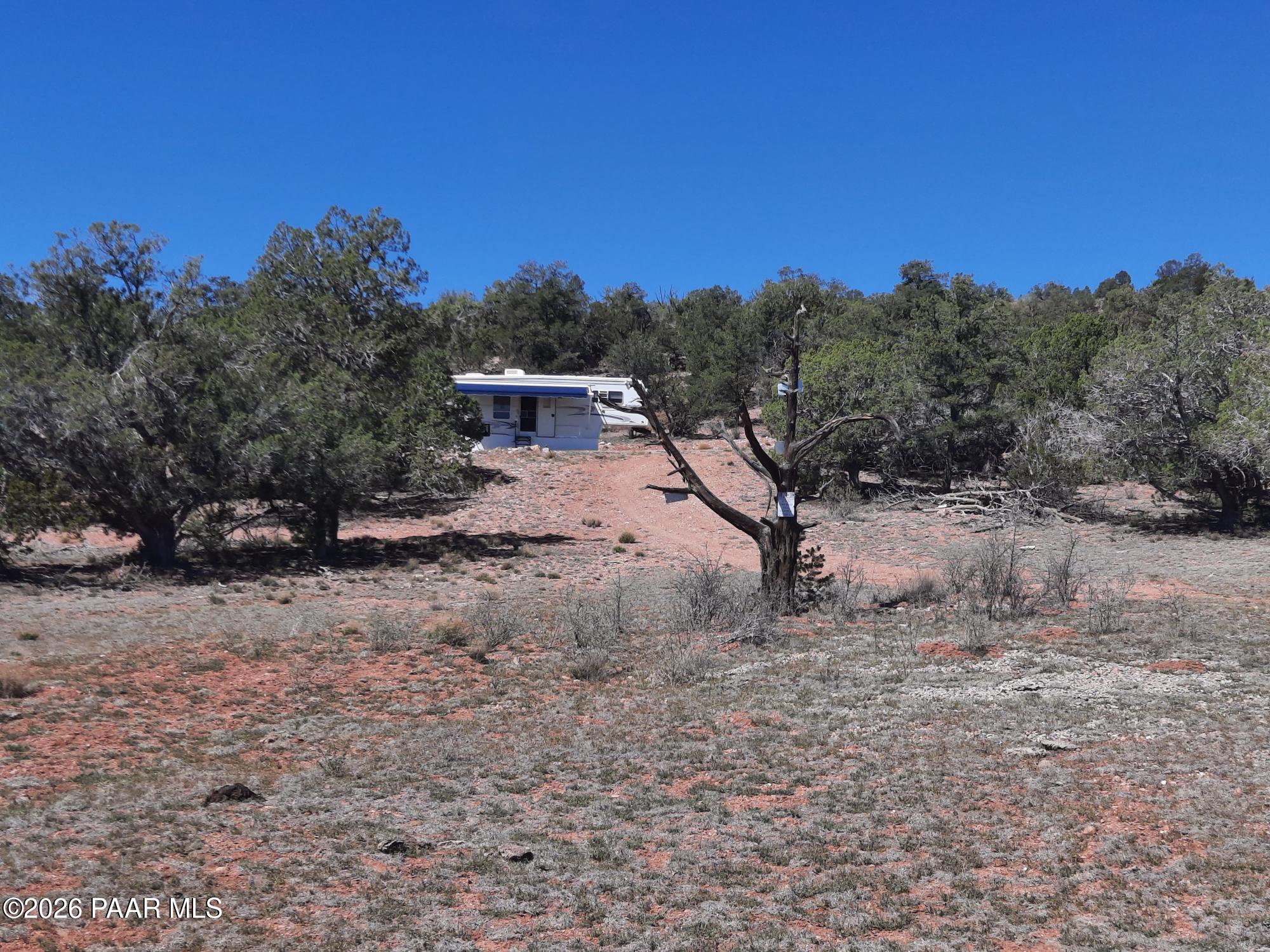 261 East W Titan Ranch Road Seligman, AZ 86337 - Photo 19 of 24 a view of a dry yard with trees