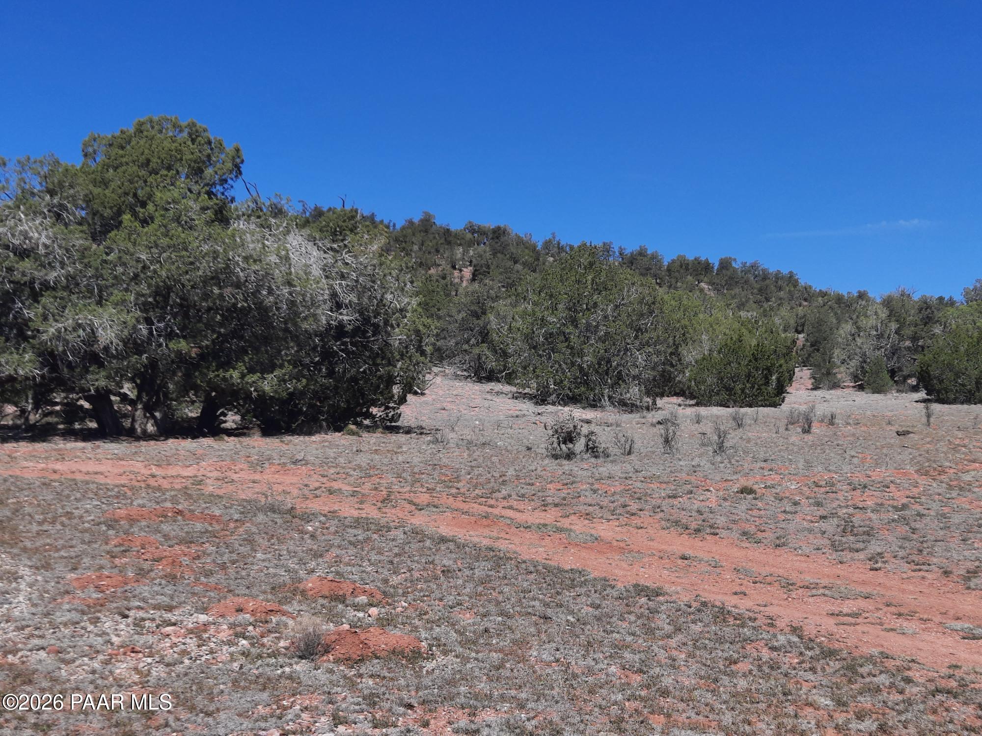 261 East W Titan Ranch Road Seligman, AZ 86337 - Photo 21 of 24 a view of dirt yard with a mountain
