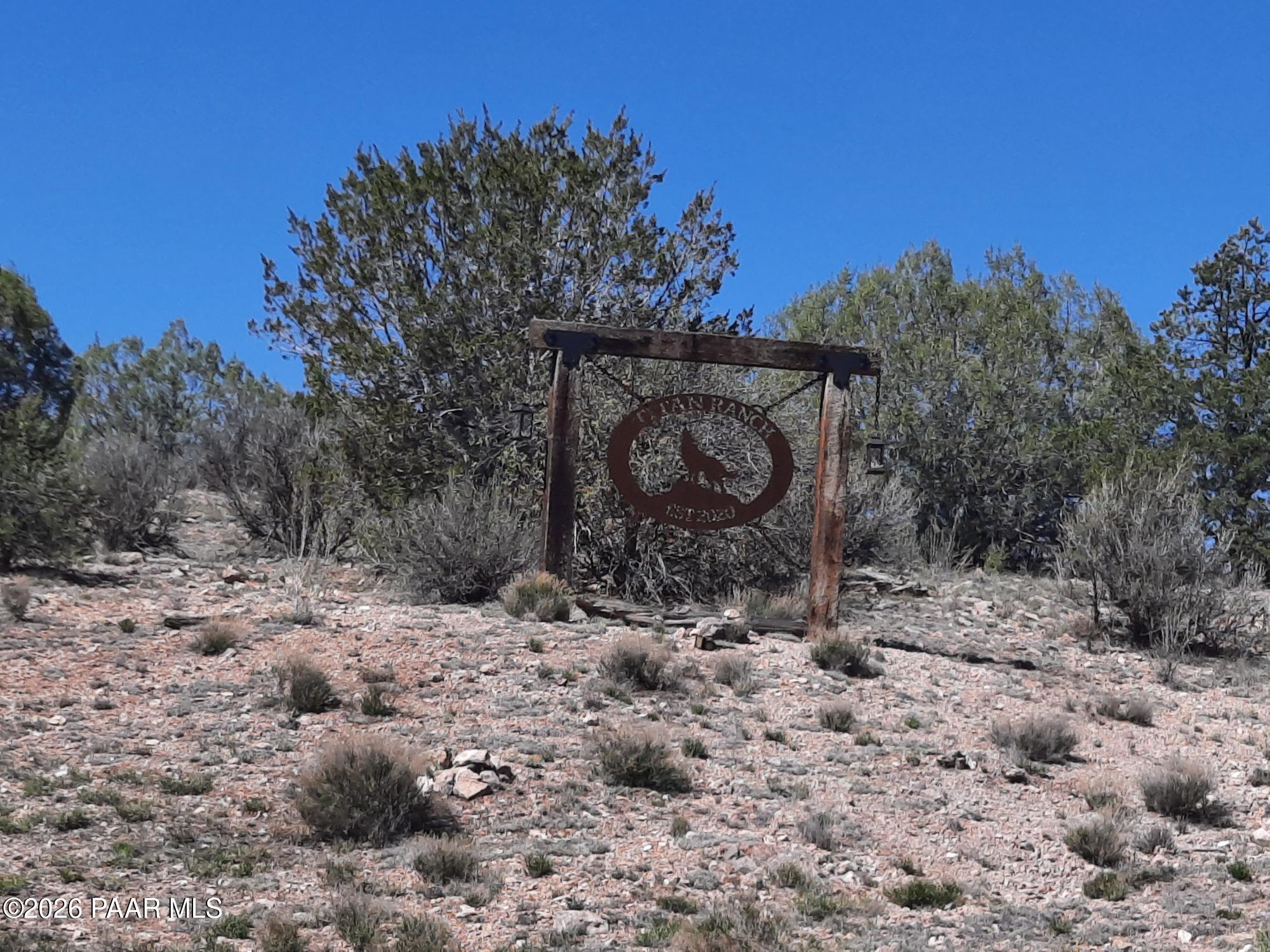 261 East W Titan Ranch Road Seligman, AZ 86337 - Photo 23 of 24 a view of a dry yard with trees