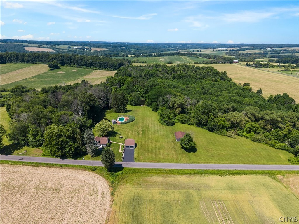 1631 Albring Road Skaneateles, NY 13152 - Photo 44 of 50