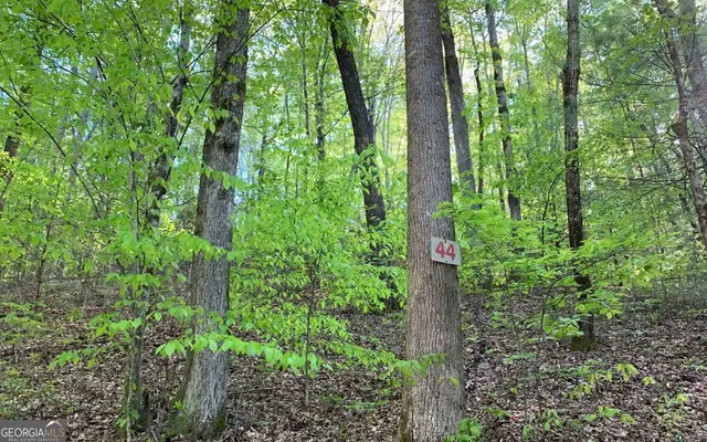 a close up of a plant in a garden