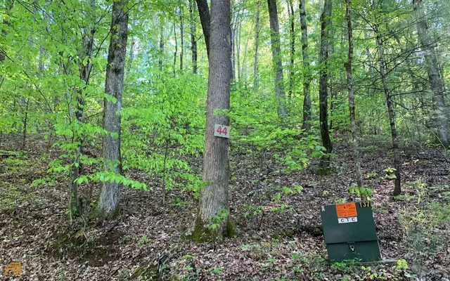 $45,000 | Lot 44 Fires Creek Cove, Hayesville, NC 28904