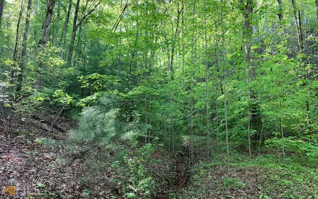 $45,000 | Lot 44 Fires Creek Cove, Hayesville, NC 28904