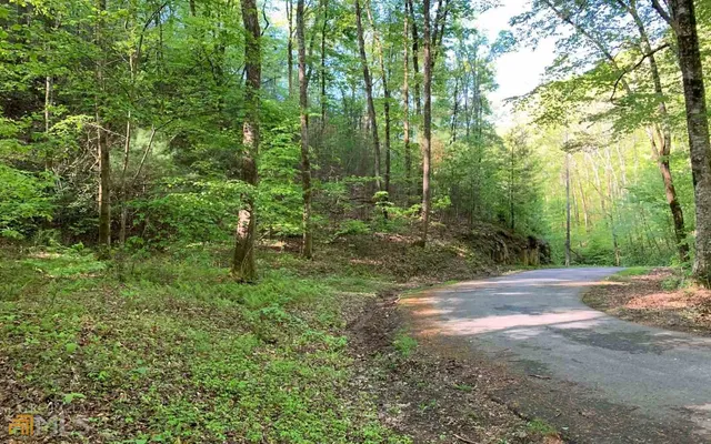 $45,000 | Lot 44 Fires Creek Cove, Hayesville, NC 28904