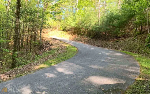 $45,000 | Lot 44 Fires Creek Cove, Hayesville, NC 28904