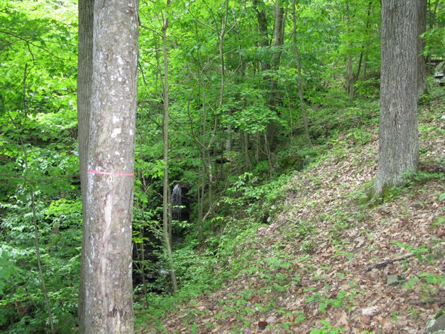 104 River Road Hinton, WV 25951 - Photo 25 of 38 Sylvan Falls -24