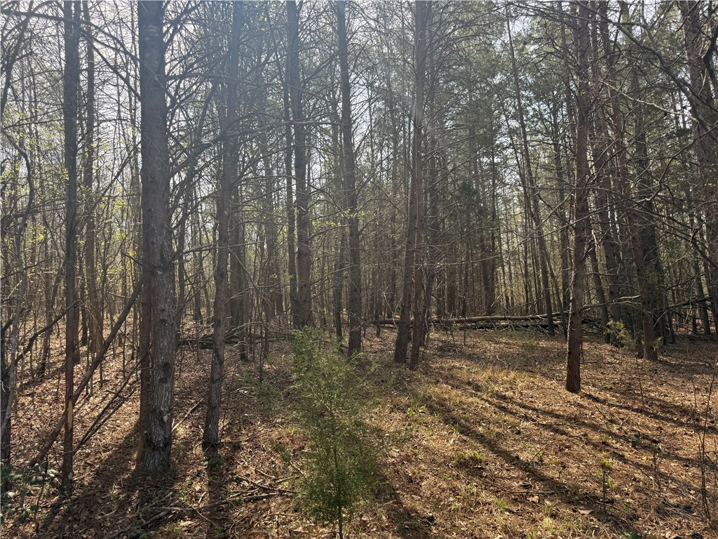 0 Holland Ford Road Pelzer, SC 29669 - Photo 25 of 35