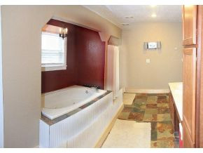 315 Wheeler Road Bulls Gap, TN 37711 - Photo 11 of 22 Master Bath