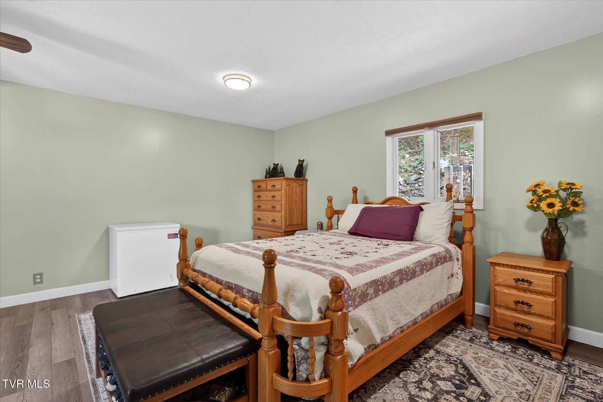 603 Blue Springs Road Elizabethton, TN 37643 - Photo 12 of 58 09-603-Blue-Springs-Rd-Elizabethton-TN-3