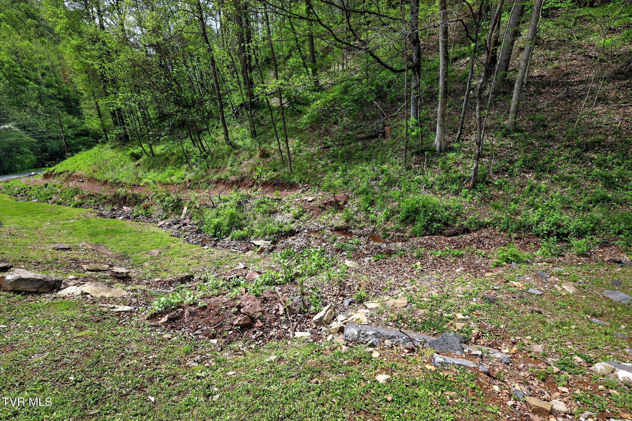 603 Blue Springs Road Elizabethton, TN 37643 - Photo 36 of 58 39-603-Blue-Springs-Rd-Elizabethton-TN-3