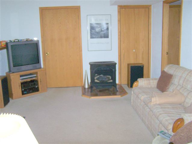 984 Winborne Road Davis, IL 61019 - Photo 4 of 9 a living room with furniture a fireplace and flat screen tv
