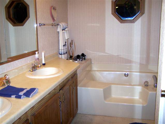 984 Winborne Road Davis, IL 61019 - Photo 5 of 9 a bathroom with a sink and a mirror