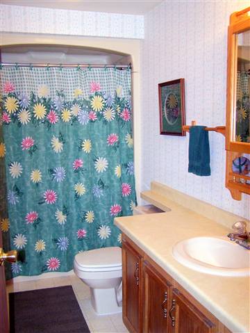 984 Winborne Road Davis, IL 61019 - Photo 6 of 9 a bathroom with a sink mirror vanity and toilet