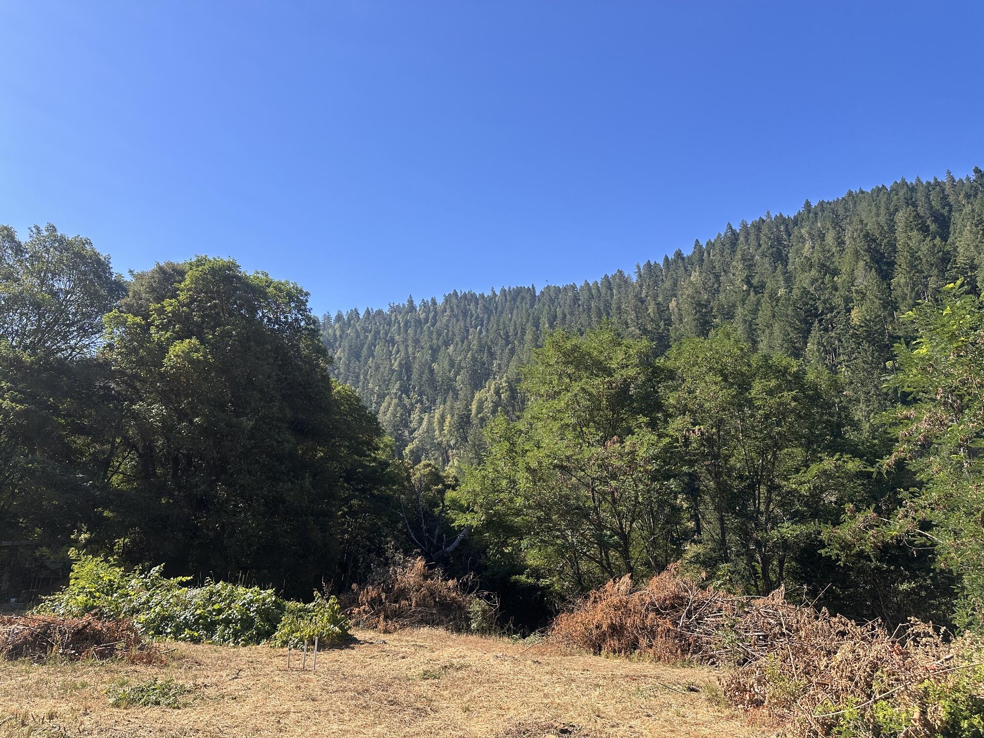 100 Ferguson Road Salyer, CA 95563 - Photo 8 of 10