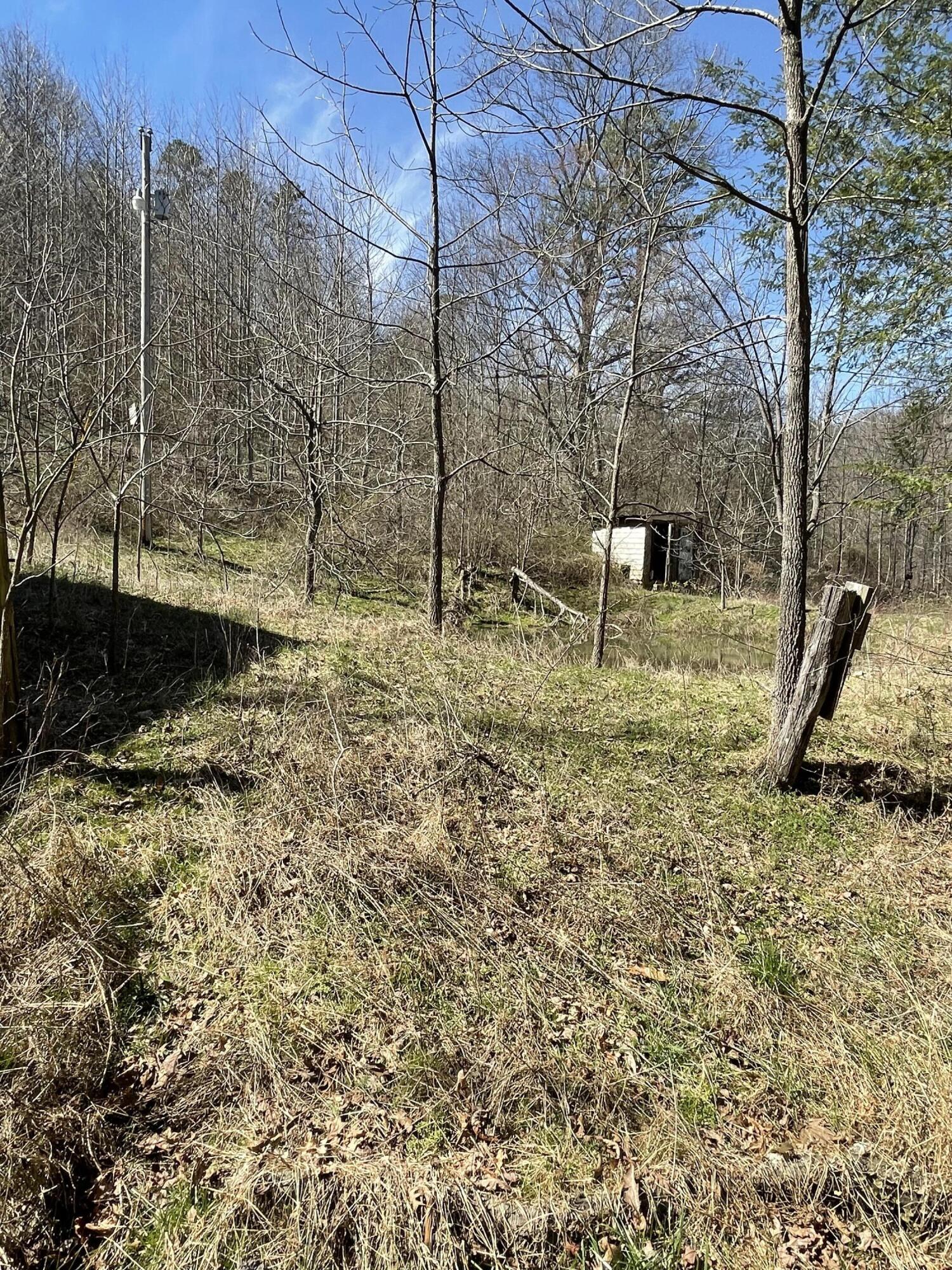3 A Walkers Branch Road McKee, KY 40447 - Photo 29 of 39 IMG_7741