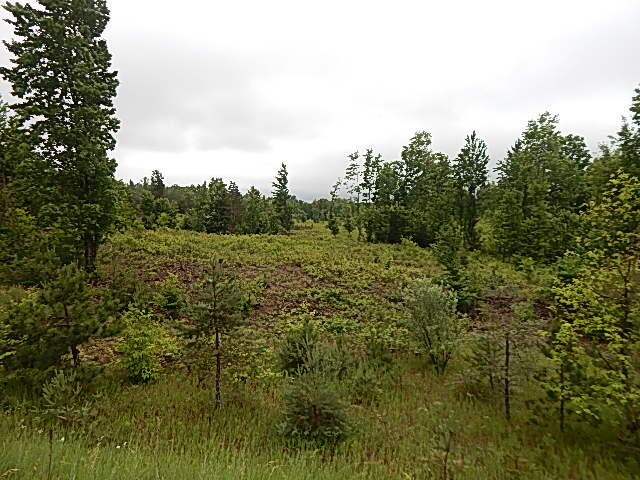 11500 West 14 Road Mesick, MI 49668 - Photo 22 of 23 DSCN1985