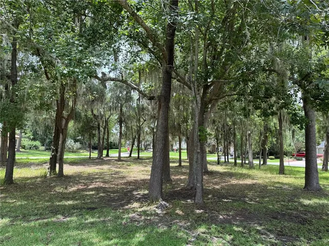 a view of park with trees