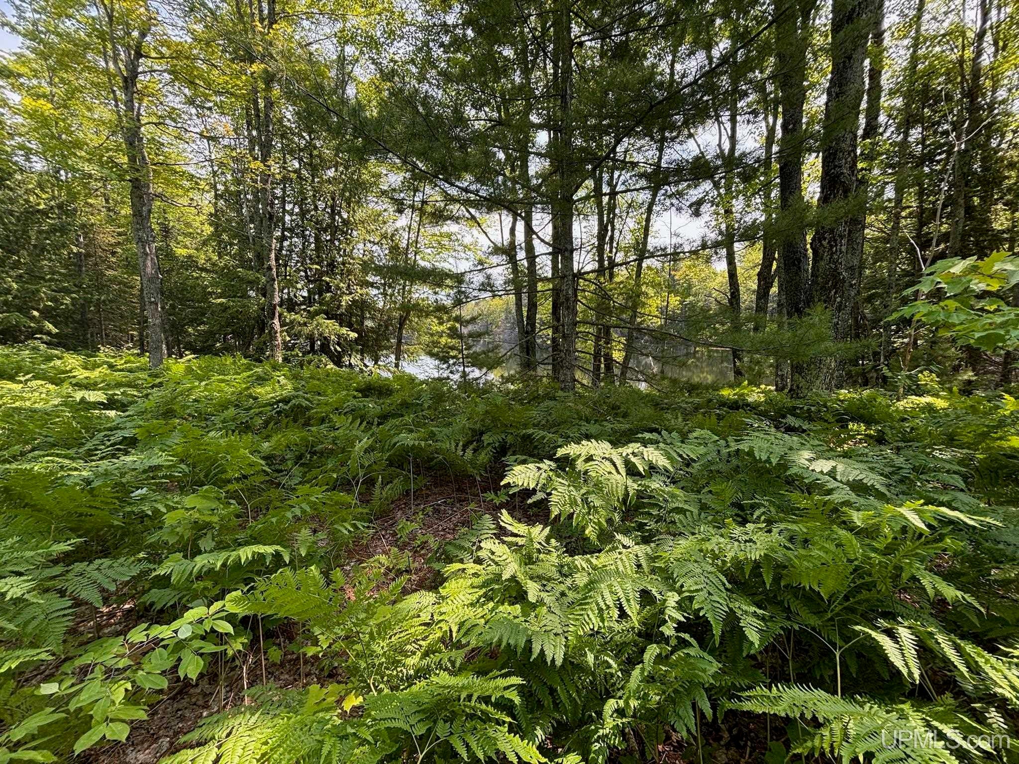 Horseshoe Lake Road Toivola, MI 49965 - Photo 64 of 70 Gallery Image 64
