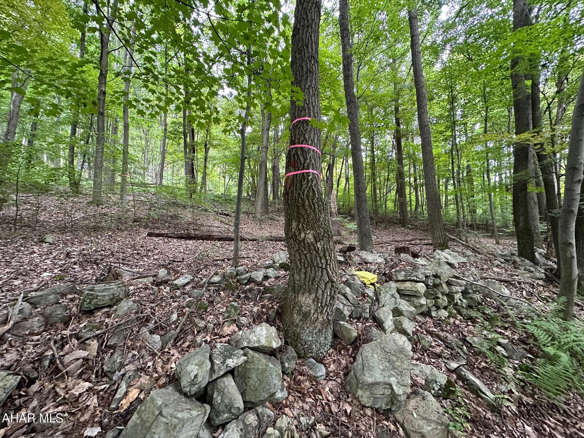 Lot #1 Louks Road Bedford, PA 15522 - Photo 4 of 11