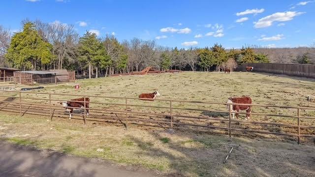 505 South Bluegrove Road Lancaster, TX 75146 - Photo 31 of 31