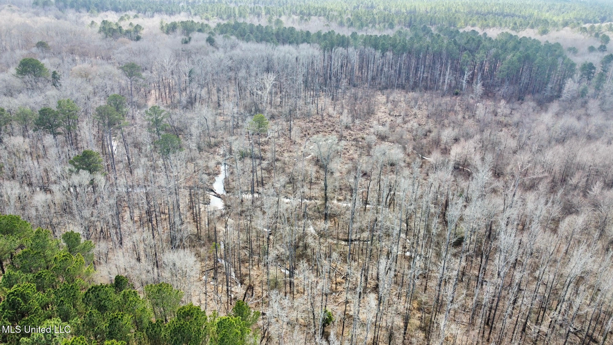 5 Scarborough Road Carthage, MS 39051 - Photo 12 of 43 19