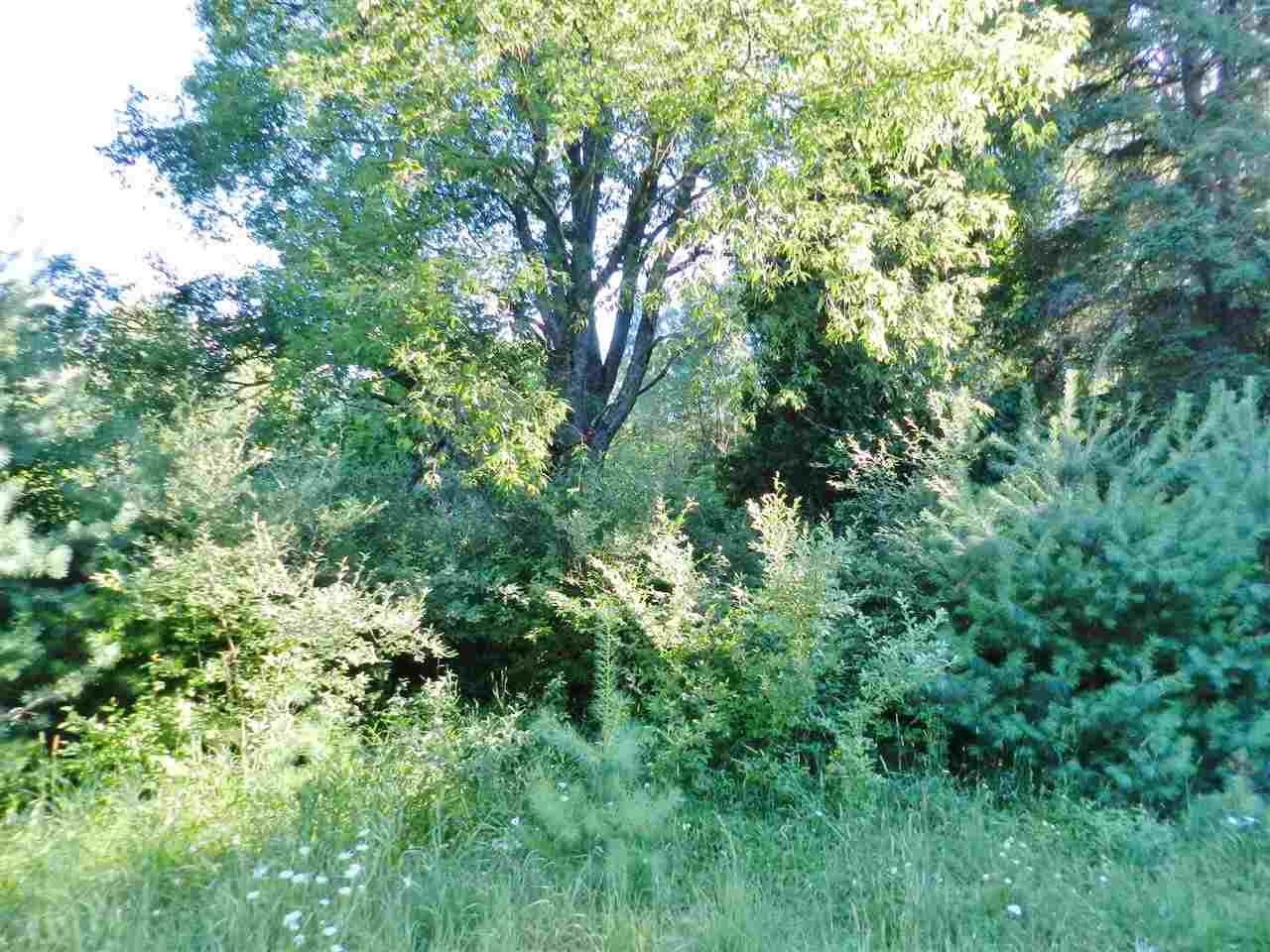 7529 Blue Road Southwest Fife Lake, MI 49633 - Photo 45 of 62 1865960-44.JPG