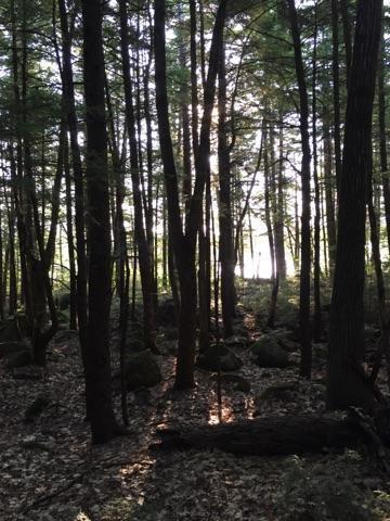 0 Hilltop Road Chesterville, ME 04938 - Photo 9 of 12 Photo