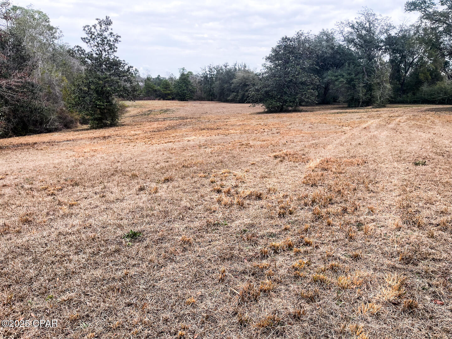 2025 Reedy Creek Road Alford, FL 32420 - Photo 19 of 41
