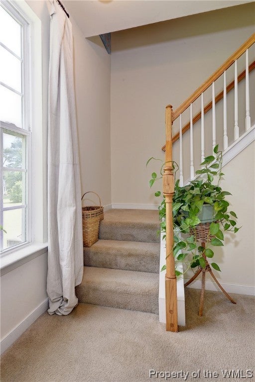 10147 Line Fence Road Hayes, VA 23072 - Photo 30 of 50 Gallery Image 30