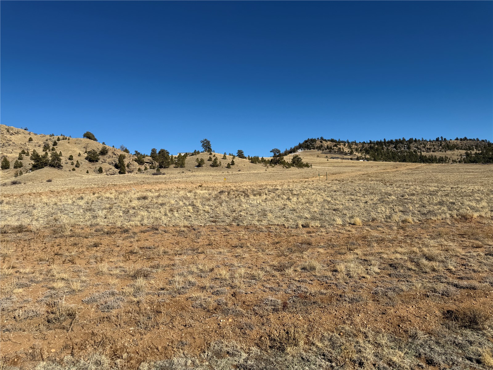 388-446 Cohonina Road Hartsel, CO 80449 - Photo 9 of 25