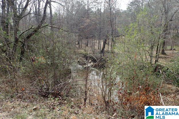 0 Macedonia Road, Unit 1 Sylacauga, AL 35150 - Photo 4 of 8