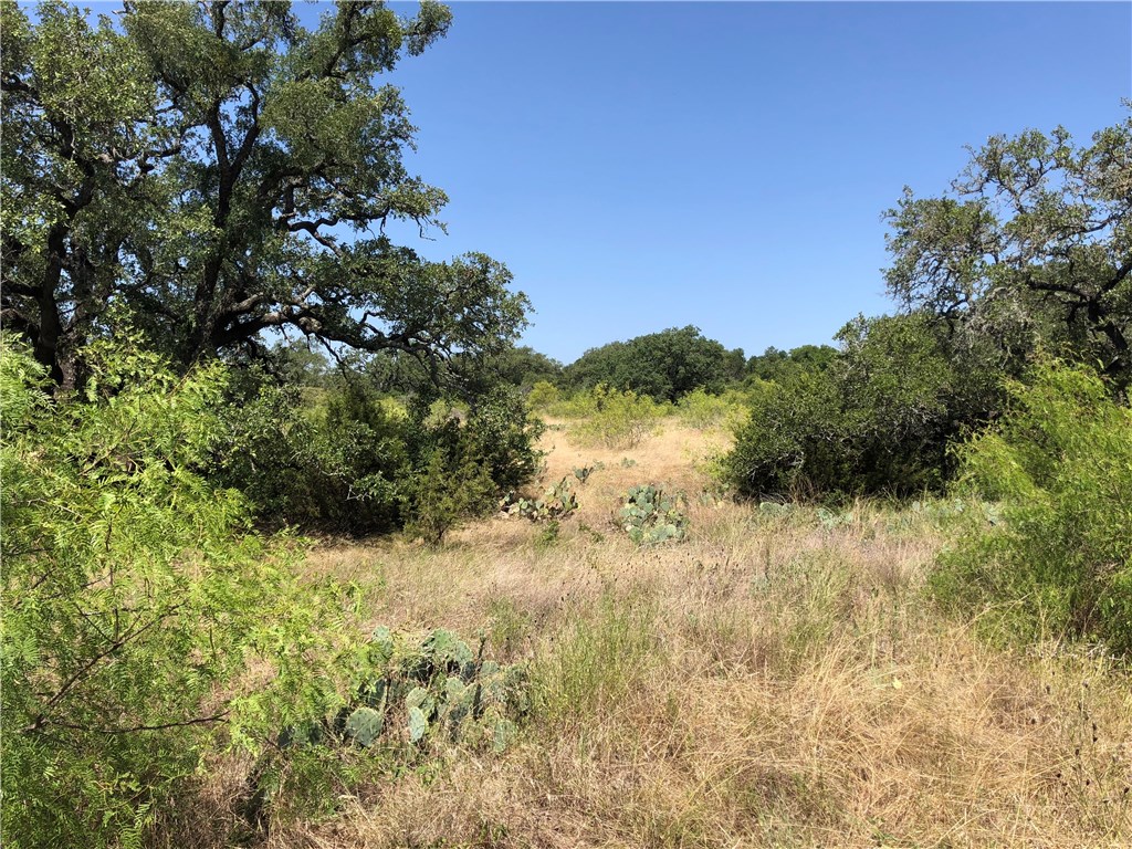 300 Ruby Ranch Road Buda, TX 78610 - Photo 1 of 1