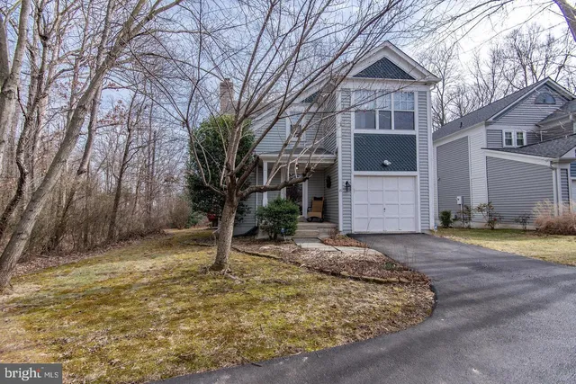 a view of a yard with large trees