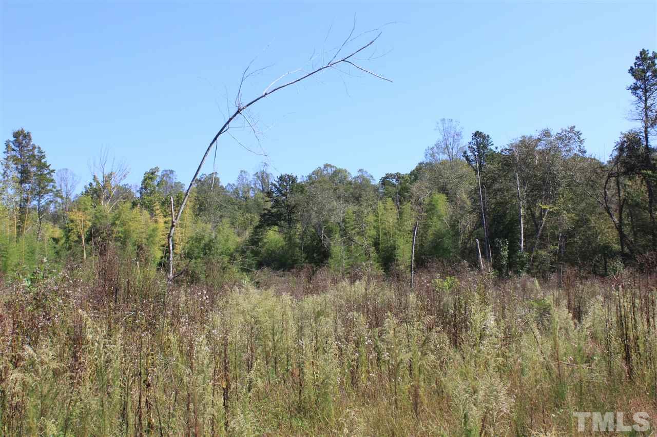 Tbd-2 Pisgah Ridge Circle Hiddenite, NC 28636 - Photo 2 of 14