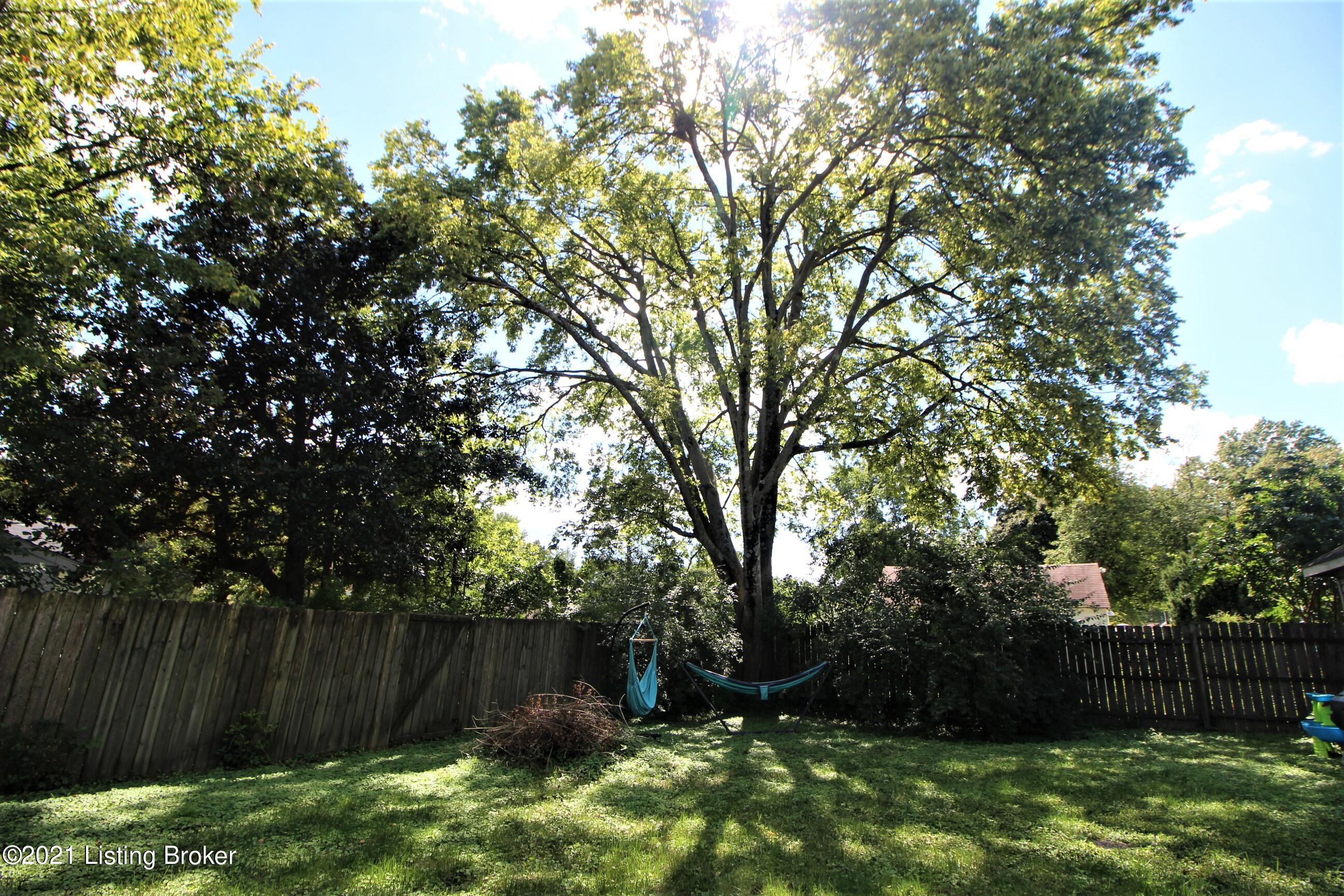 2620 Alanmede Road Louisville, KY 40205 - Photo 22 of 27 Mature Trees