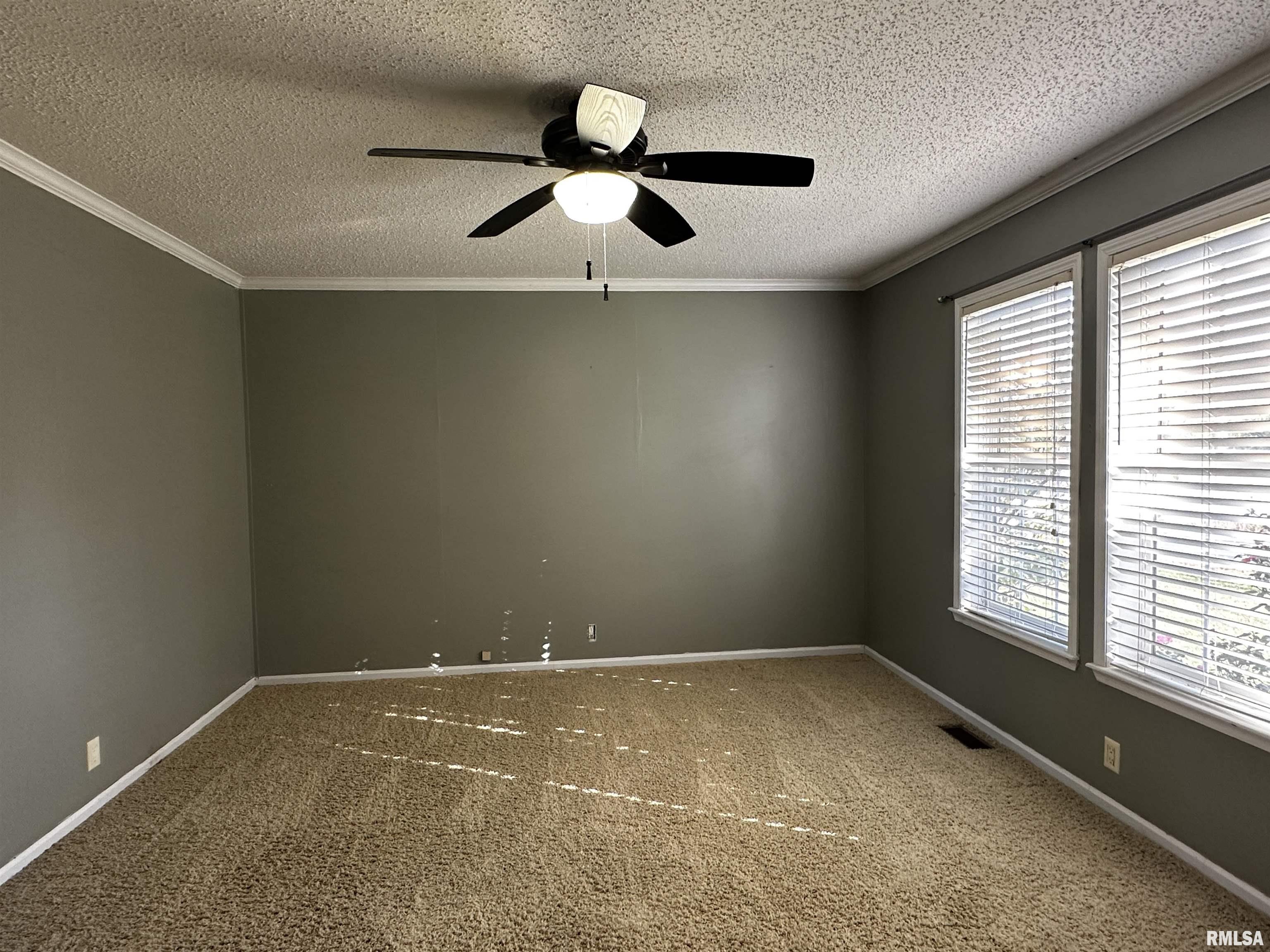 13411 Hamilton Pike Road Whittington, IL 62897 - Photo 19 of 24