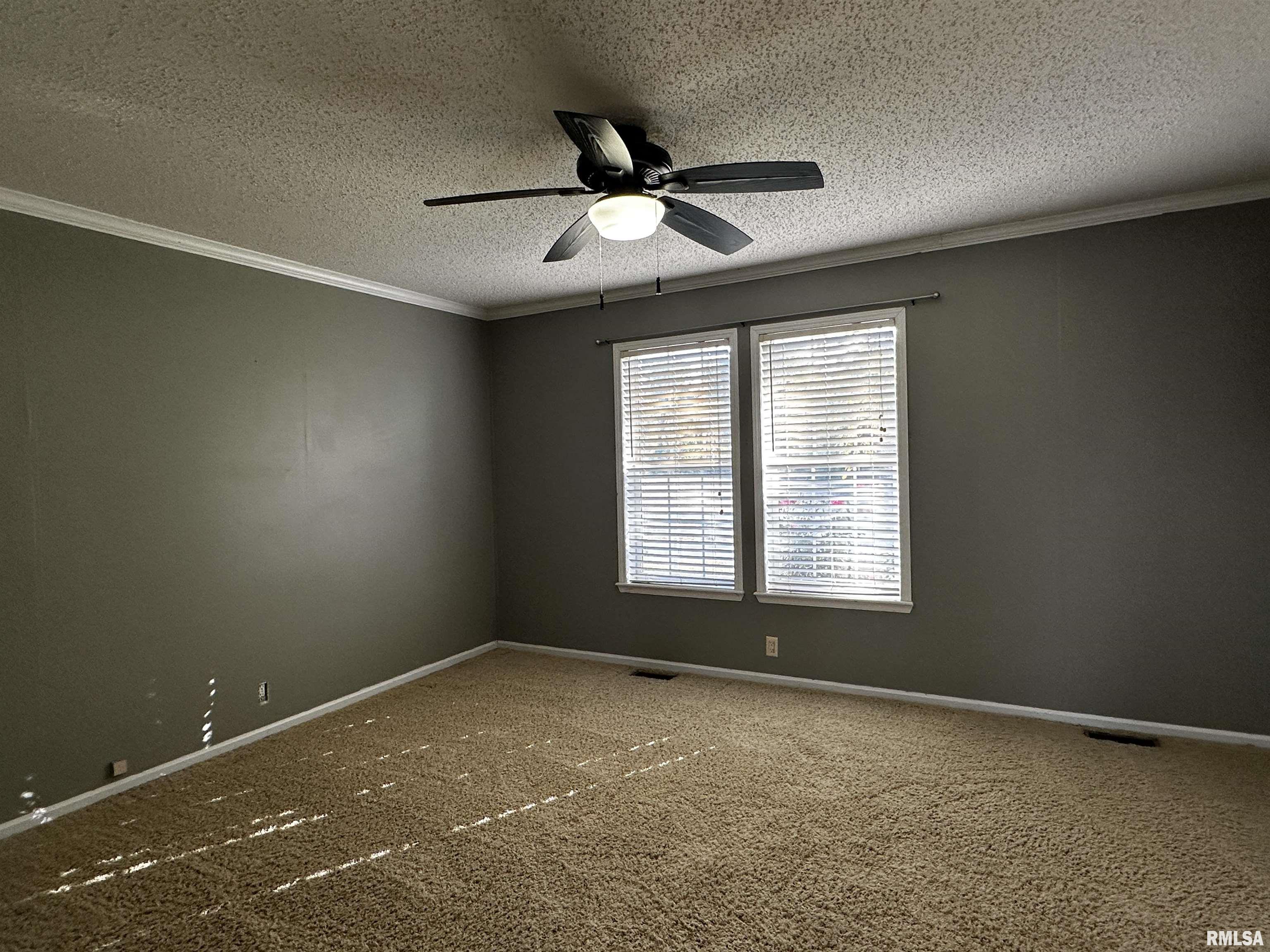 13411 Hamilton Pike Road Whittington, IL 62897 - Photo 20 of 24