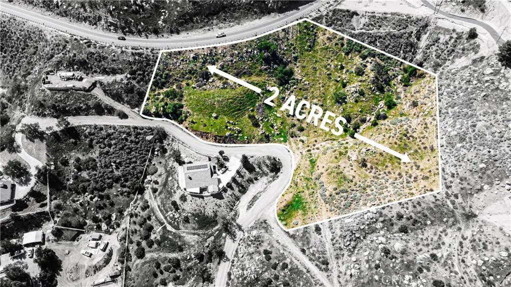 a view of a garden with plants