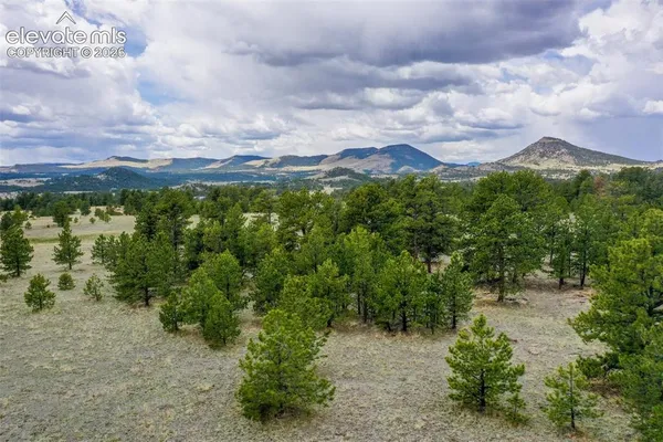 $175,000 | Tbd Doe Valley Road, Guffey, CO 80820