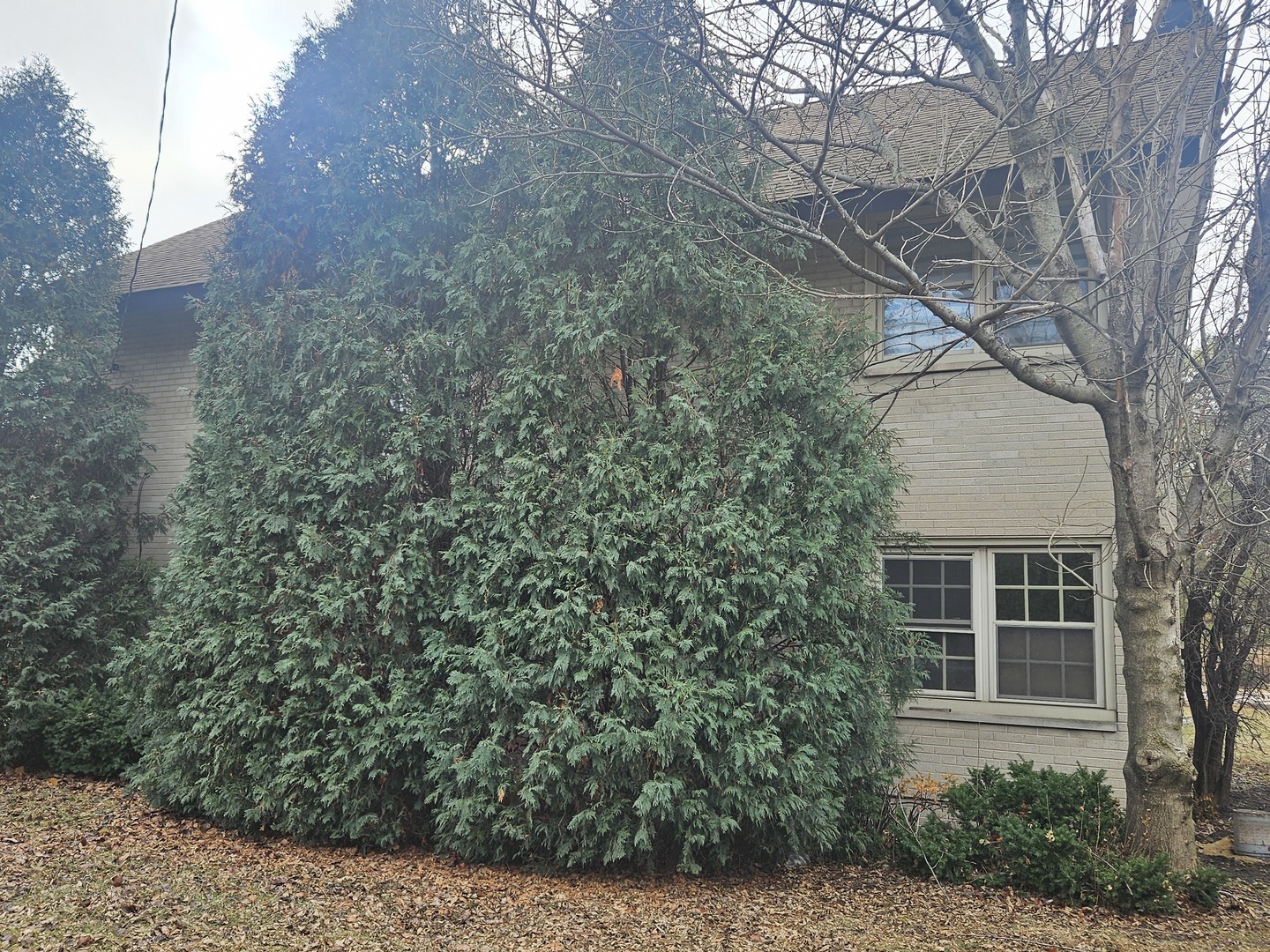 863 North Northwest Highway, Unit 1 Park Ridge, IL 60068 - Photo 21 of 21